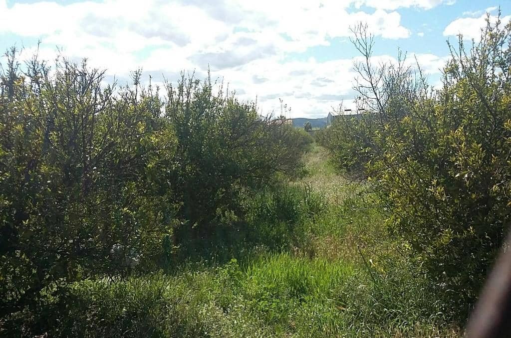 Urbanizable Programado en venta  en Camino Xativa Alcntera De Xquer Valencia
