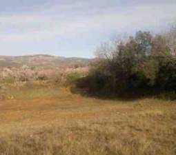 No Urbanizable (Rústico) en venta  en Lugar Partida Tosals, Albocàsser, Castellón