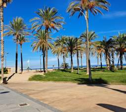 Vivienda en venta en Alboraya, Valencia