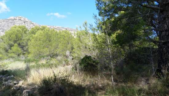 Suelo urbanizable residencial a la venta por 16.100 de 4.986m en calle polígono 5,  parcela, orpesa, Oropesa del MarOrpesa