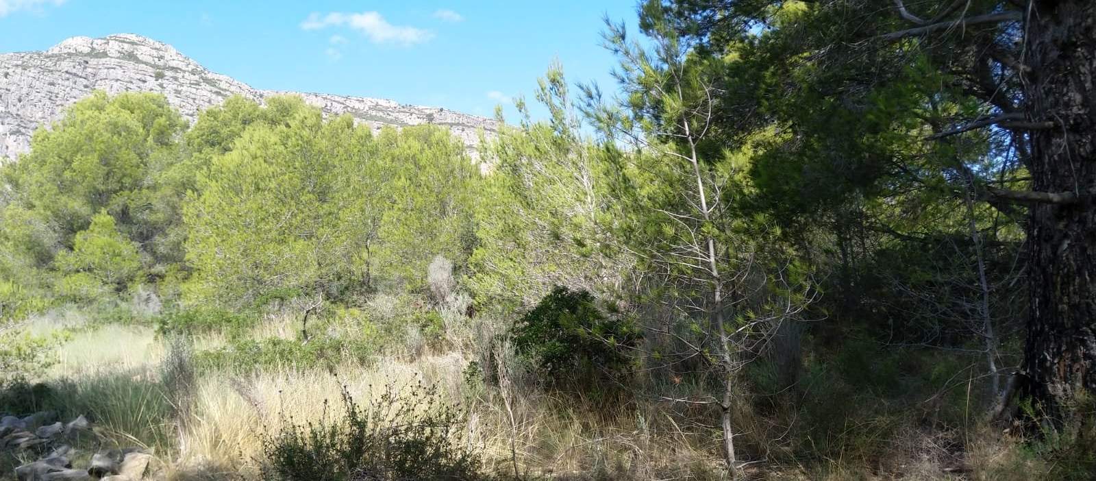 Suelo urbanizable residencial a la venta por 16.100 de 4.986m en calle polígono 5,  parcela, orpesa, Oropesa del MarOrpesa