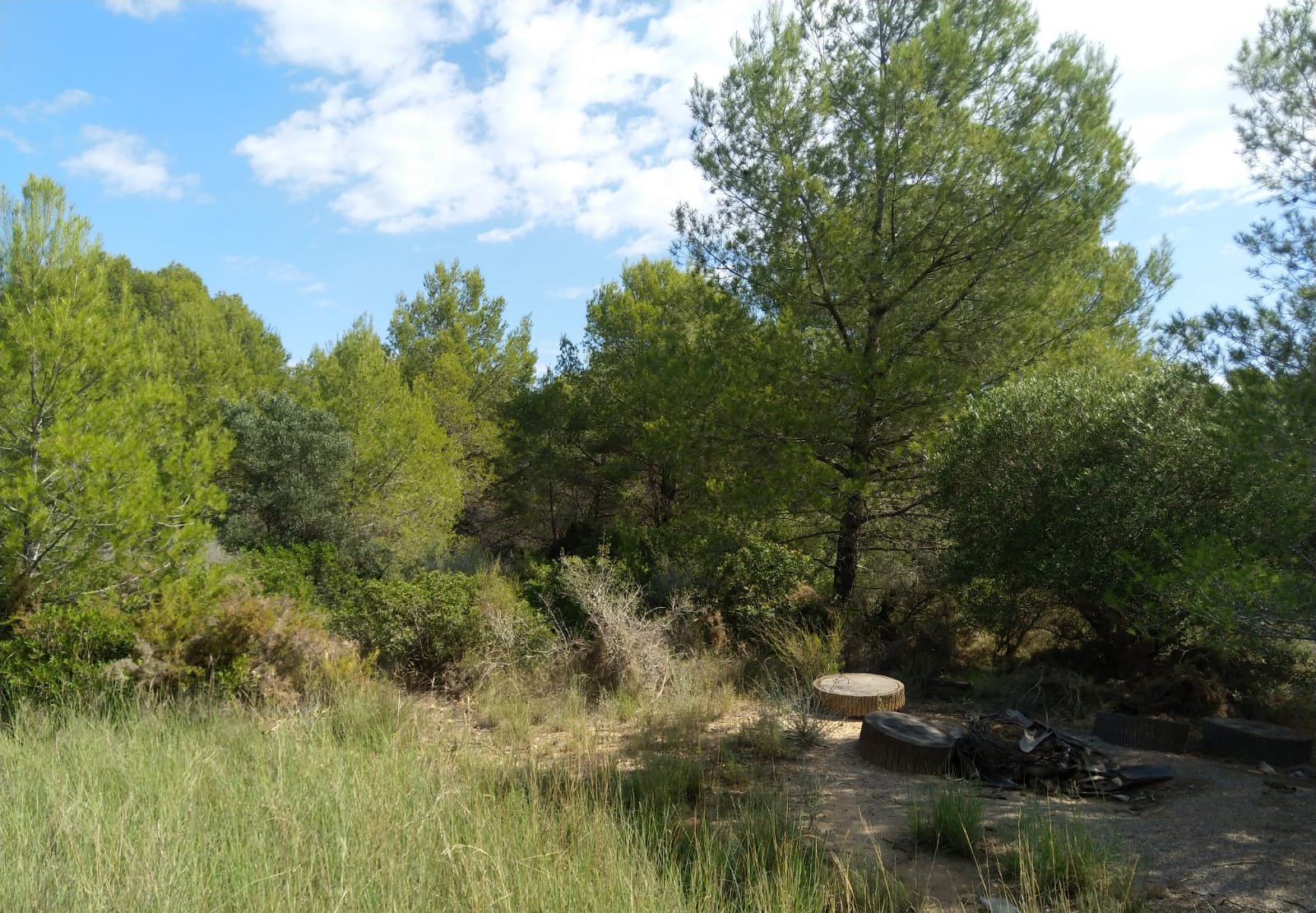 Terreno Rústico en venta en Oropesa Del Mar, Castellón