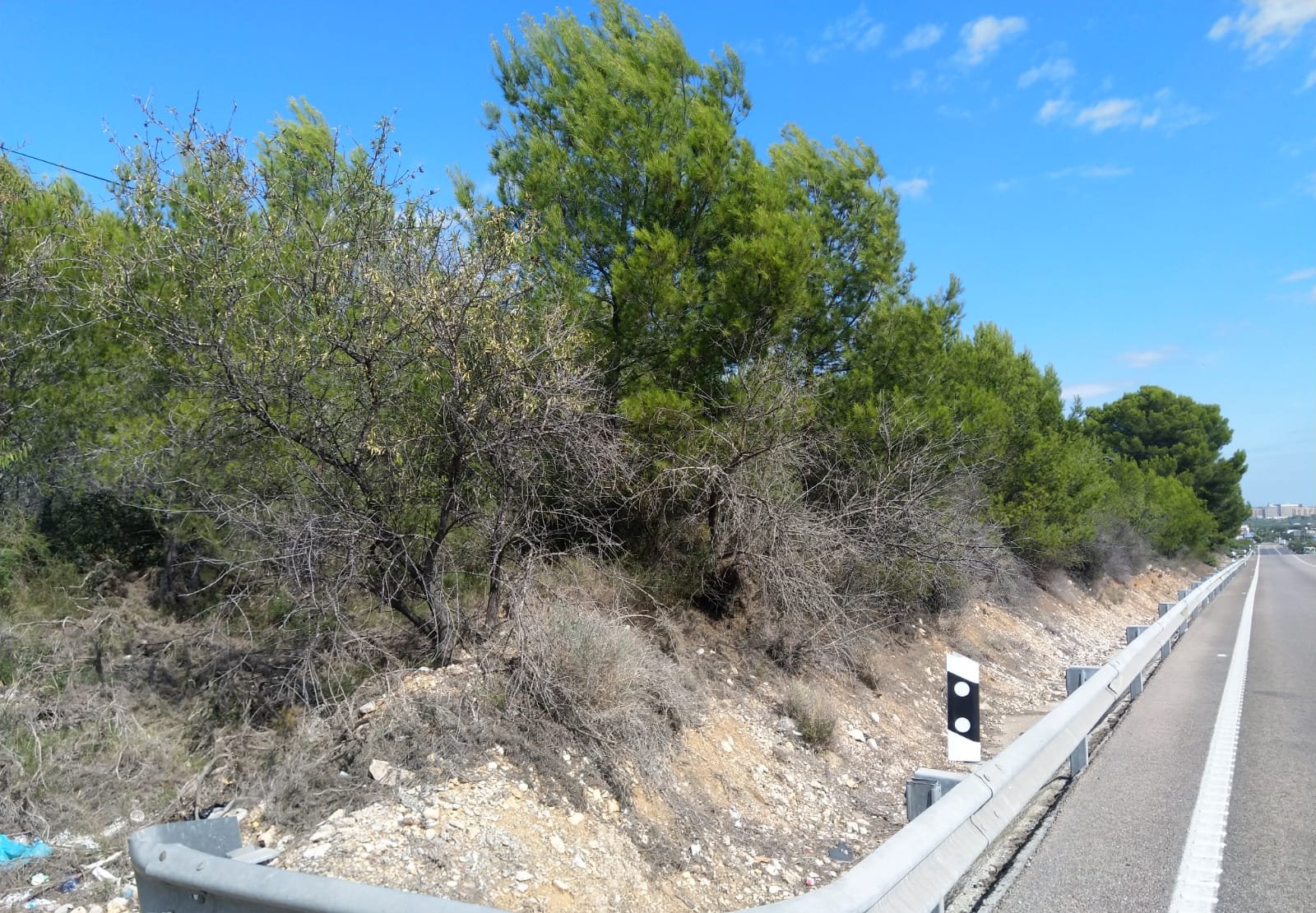 Terreno Rústico en venta en Oropesa Del Mar, Castellón