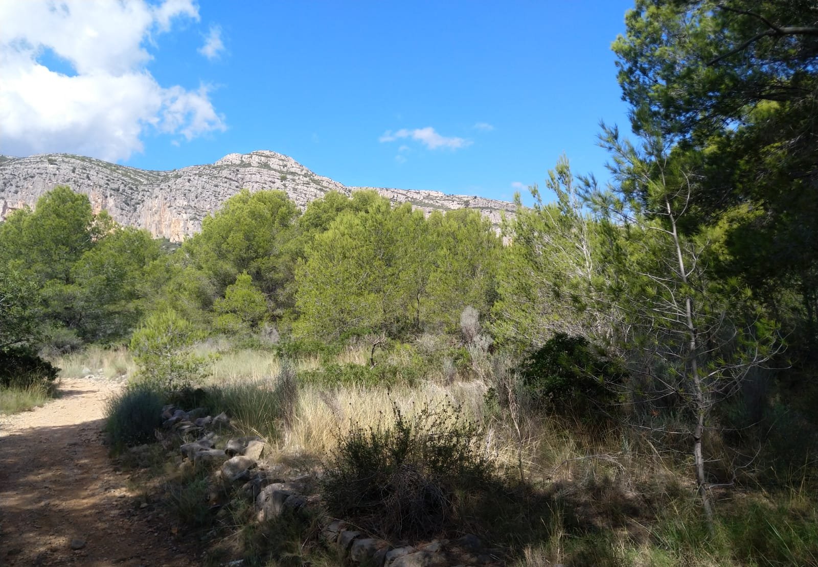 Terreno Rústico en venta en Oropesa Del Mar, Castellón