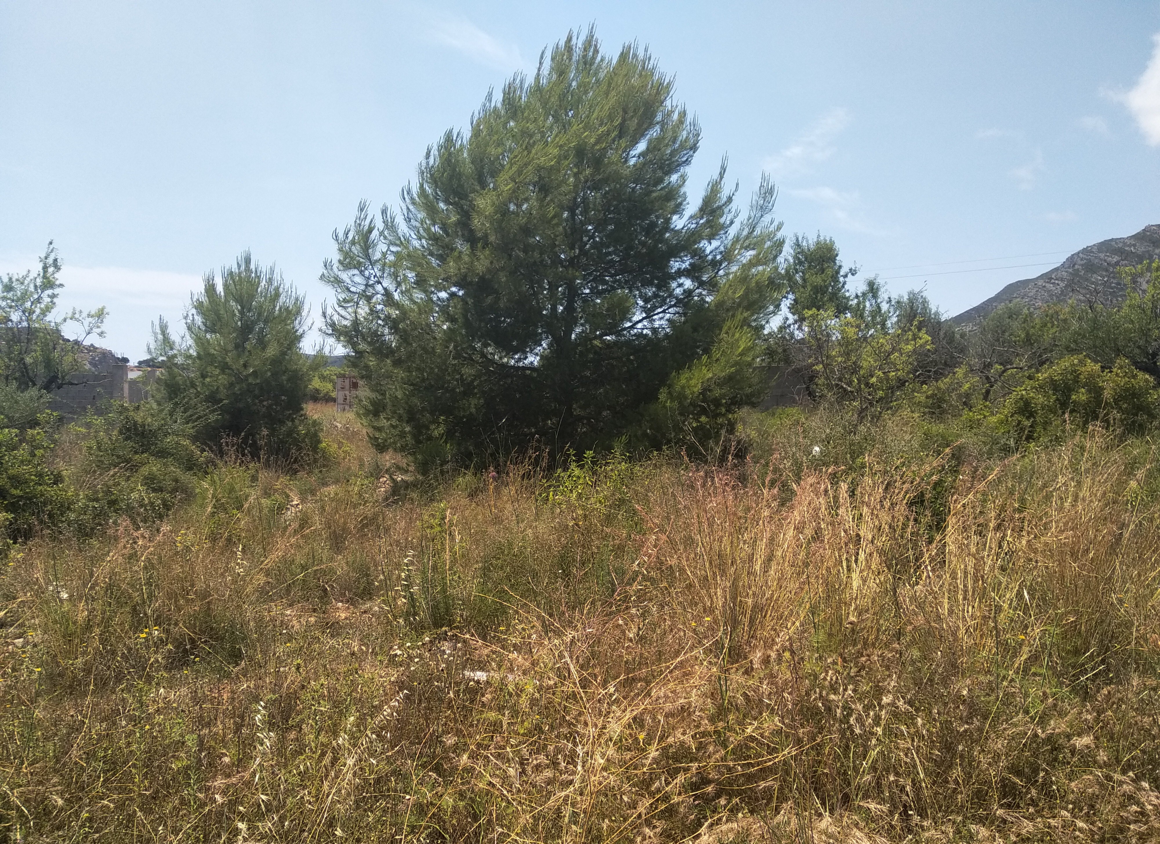 Terreno Rústico en venta en Oropesa Del Mar, Castellón