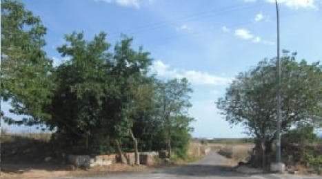 Suelo otros Torreblanca