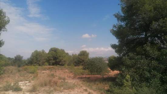 Urbano Solar en venta  en Partida Gallipont La Pobla De Vallbona Valencia