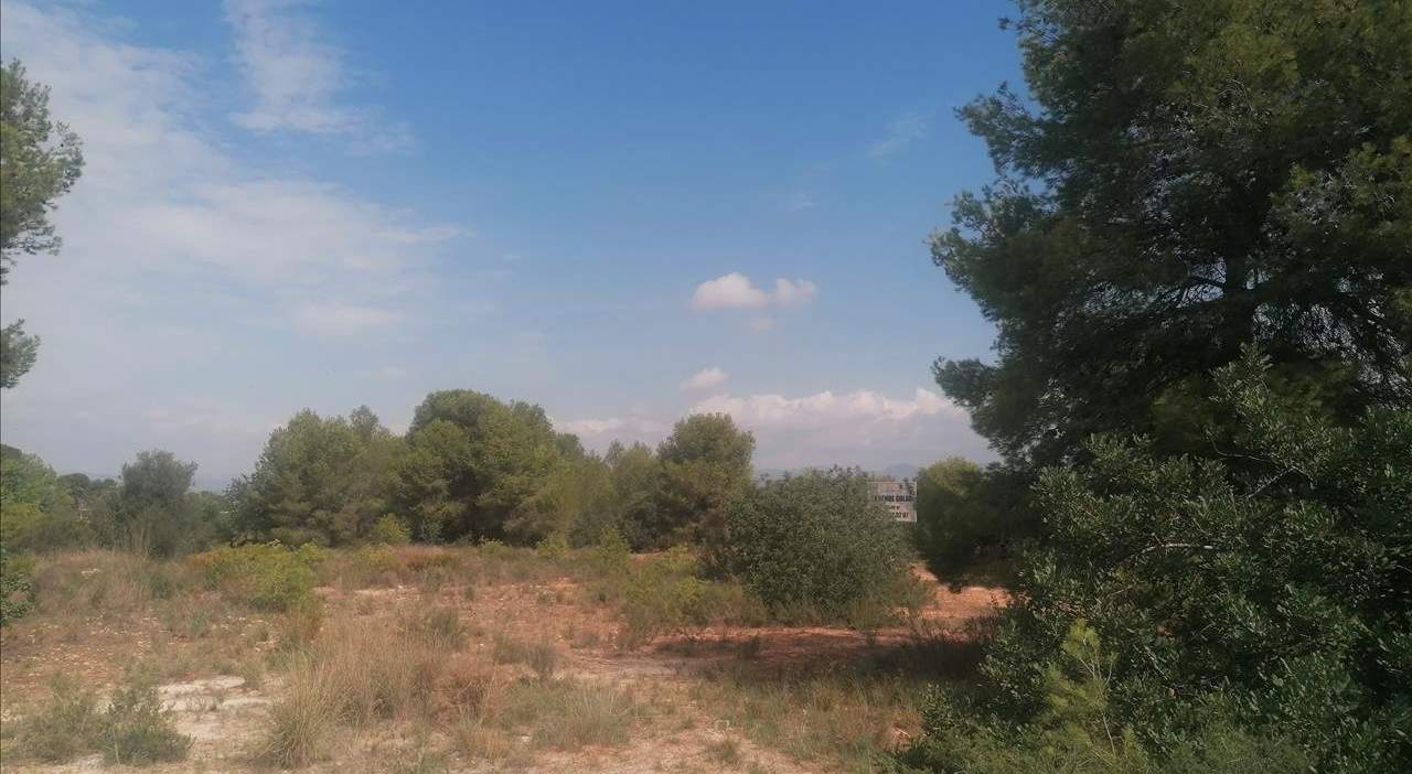 Urbano Solar en venta  en Partida Gallipont La Pobla De Vallbona Valencia