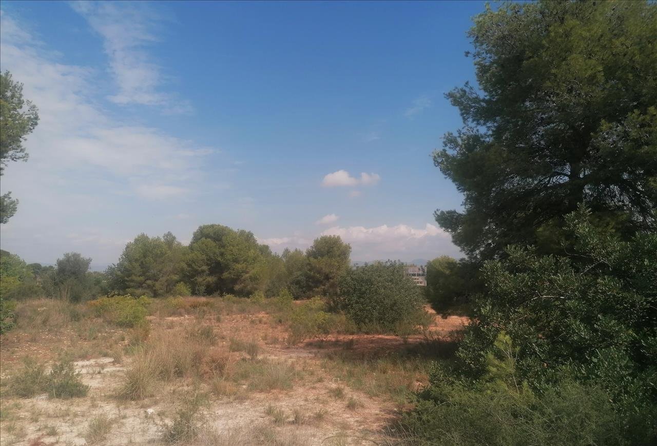 Urbano Solar en venta  en Partida Gallipont La Pobla De Vallbona Valencia