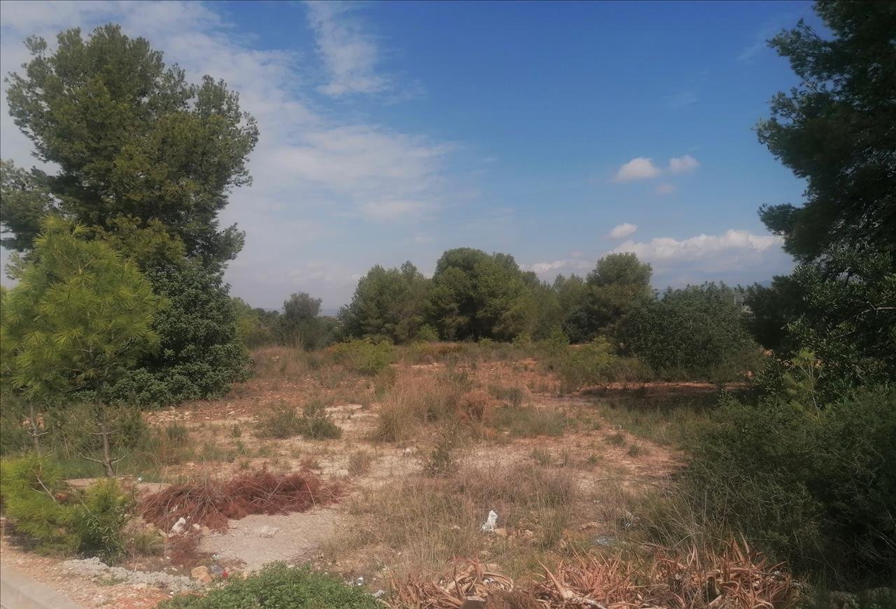 Urbano Solar en venta  en Partida Gallipont La Pobla De Vallbona Valencia