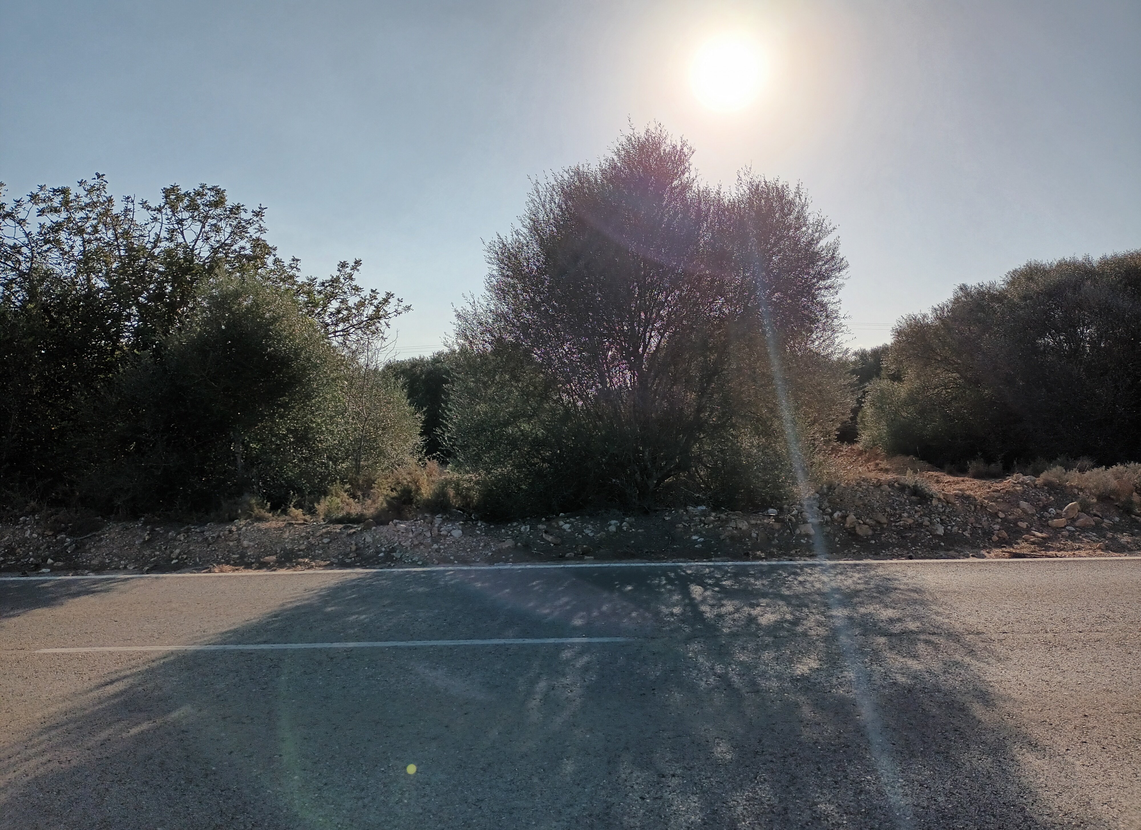 Urbano Solar en venta  en Partida Gallipont La Pobla De Vallbona Valencia