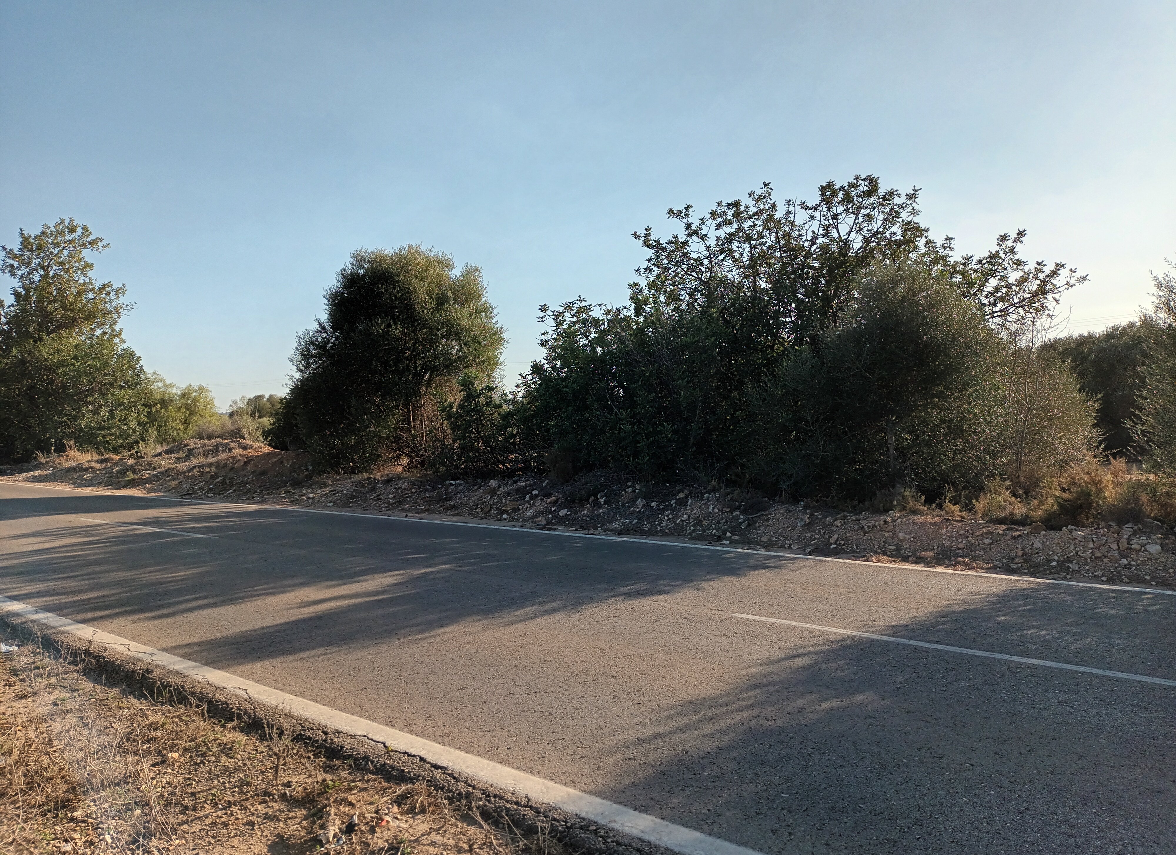Urbano Solar en venta  en Partida Gallipont La Pobla De Vallbona Valencia