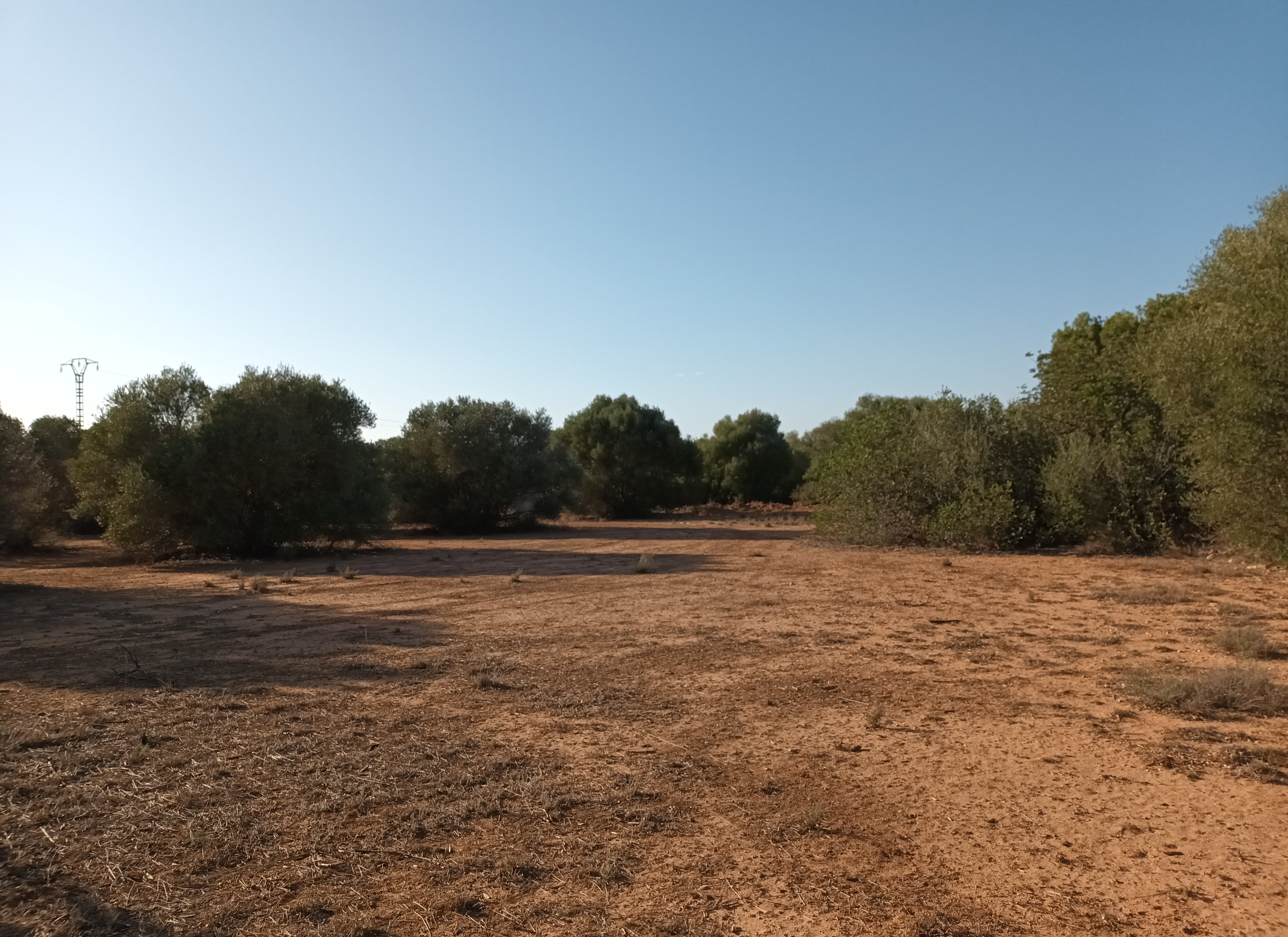 Urbano Solar en venta  en Partida Gallipont La Pobla De Vallbona Valencia