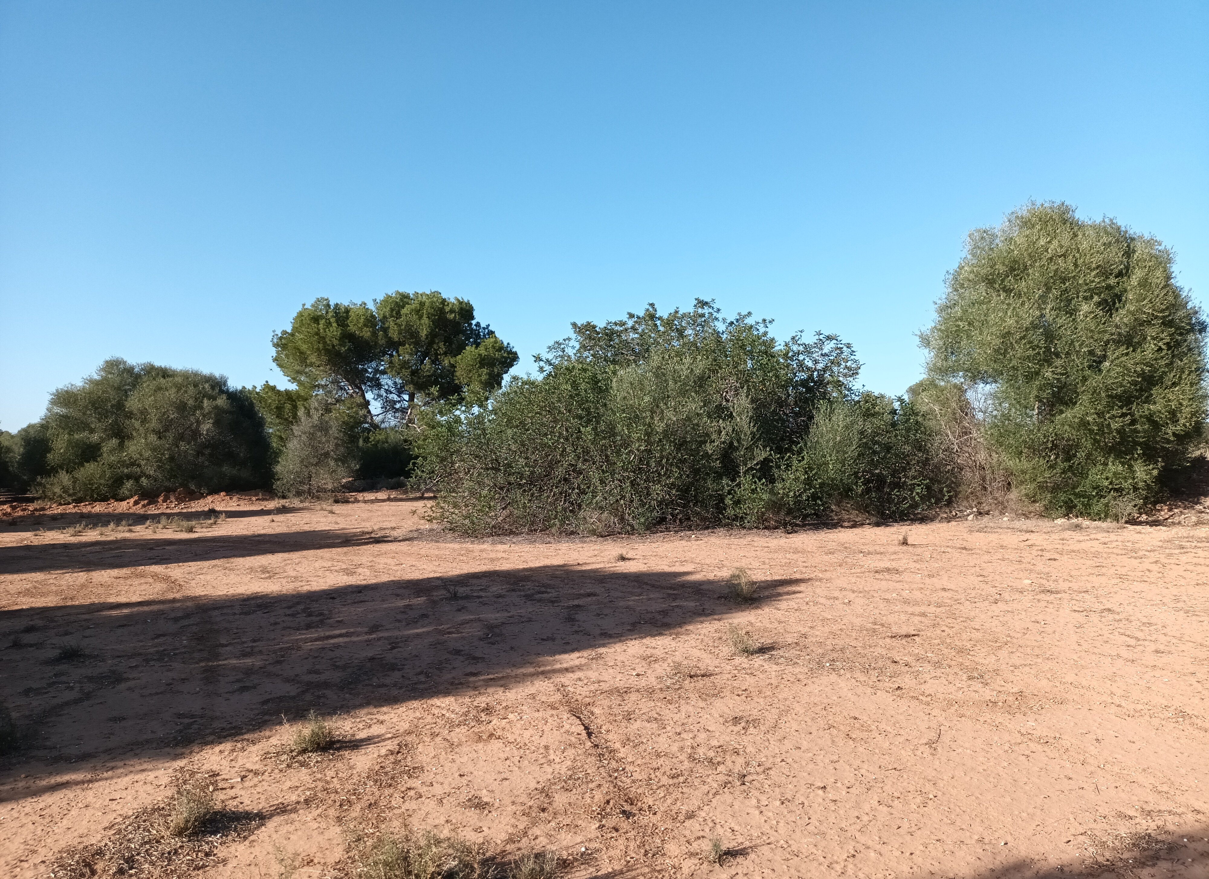 Urbano Solar en venta  en Partida Gallipont La Pobla De Vallbona Valencia