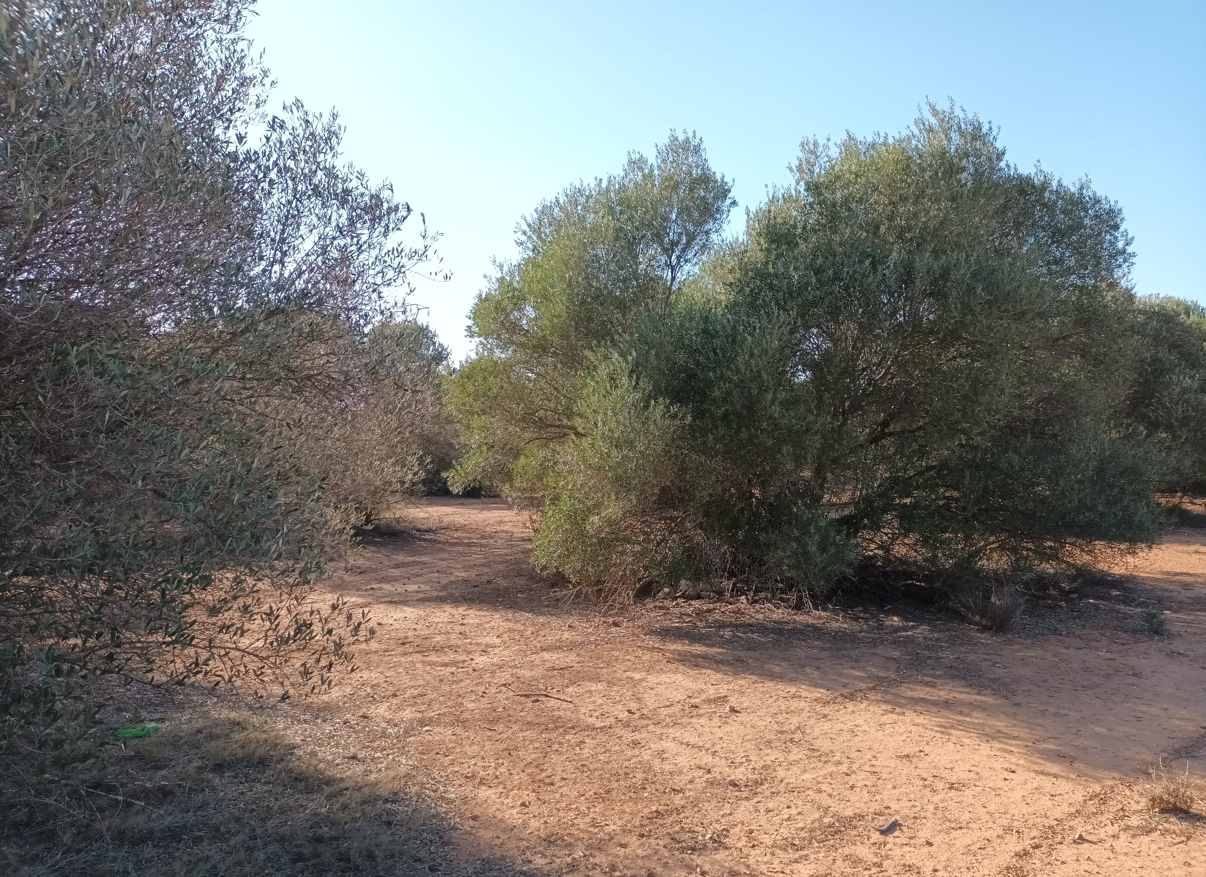 Urbano Solar en venta  en Partida Gallipont La Pobla De Vallbona Valencia