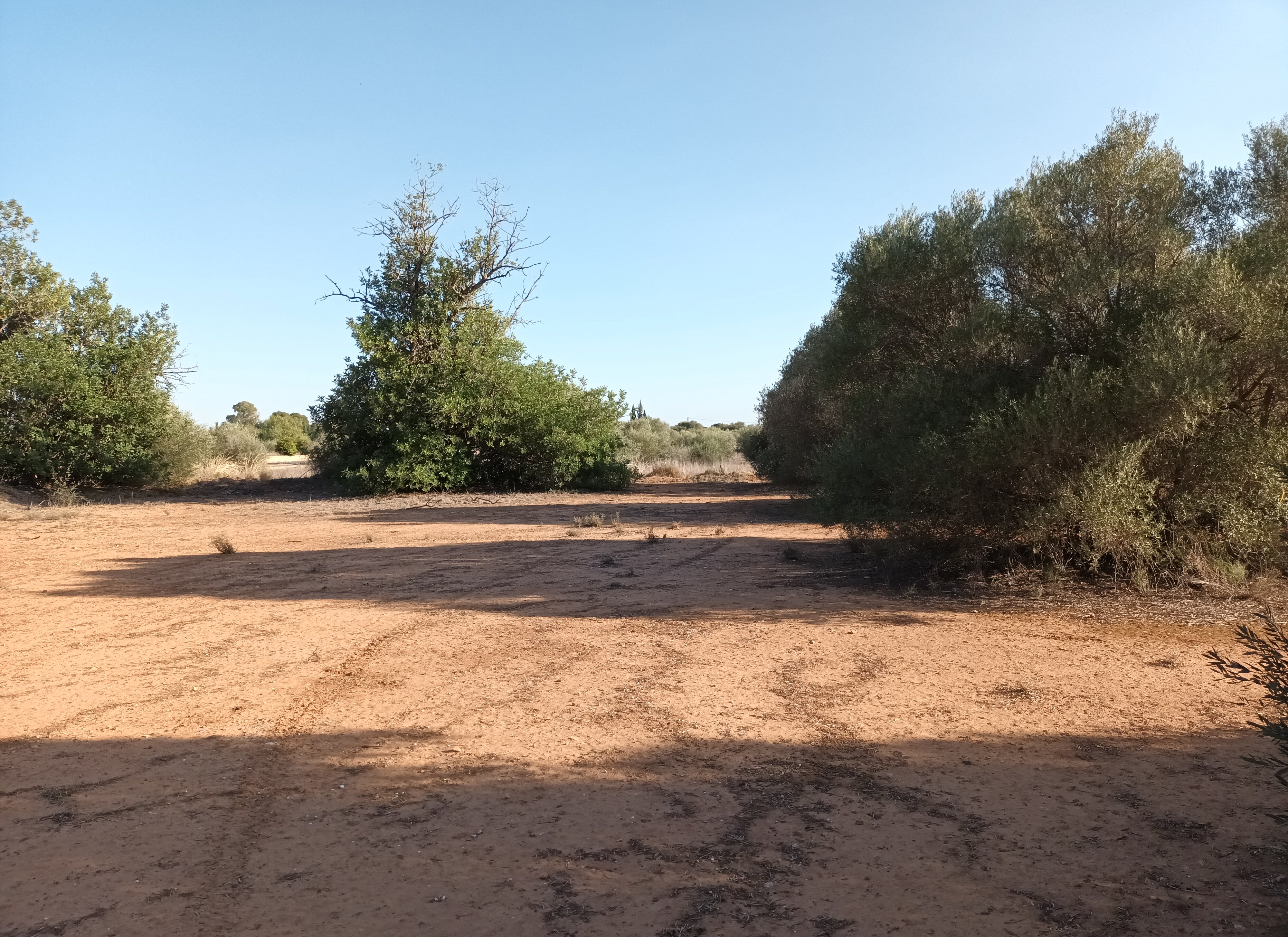 Urbano Solar en venta  en Partida Gallipont La Pobla De Vallbona Valencia