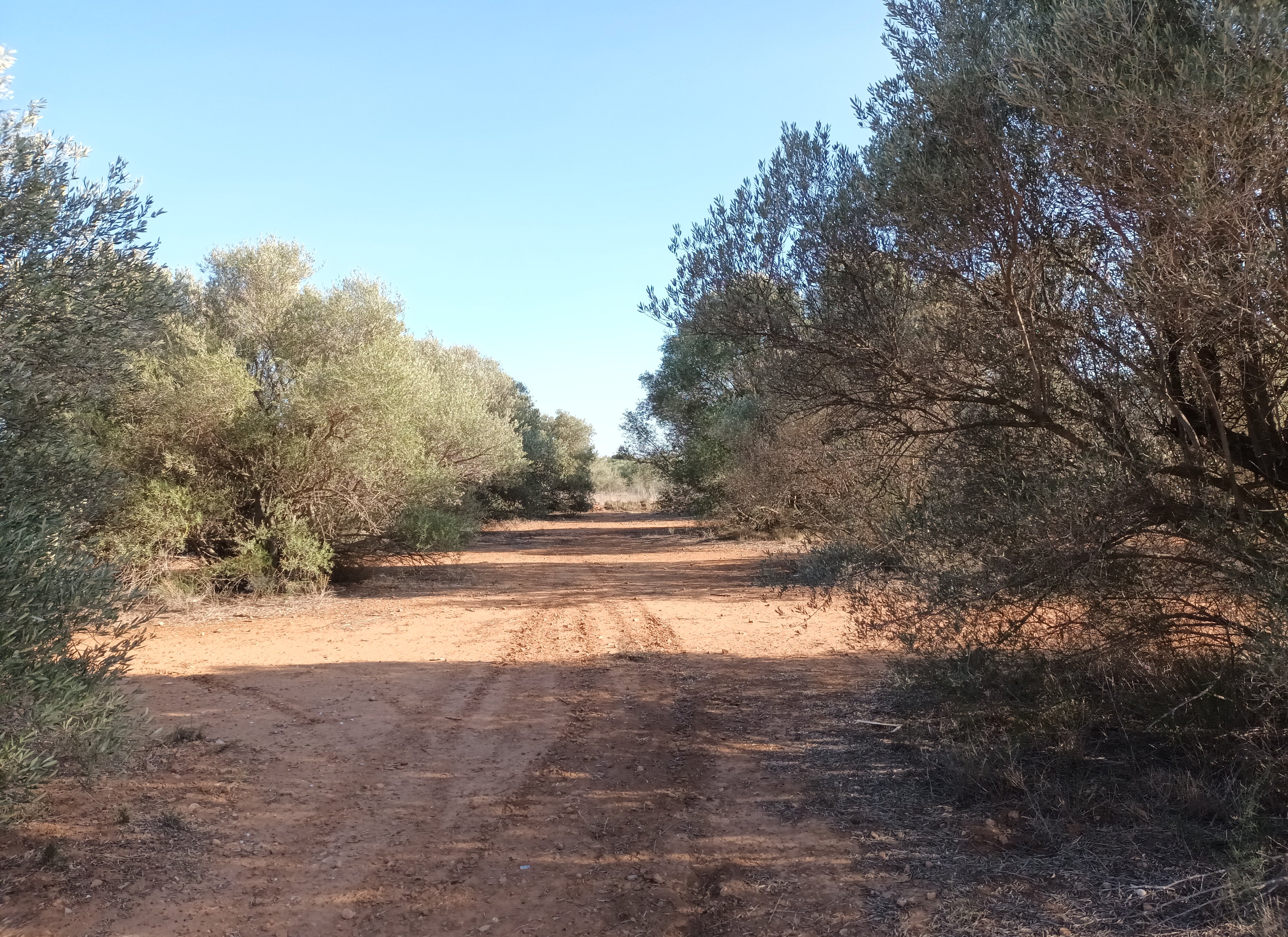 Urbano Solar en venta  en Partida Gallipont La Pobla De Vallbona Valencia