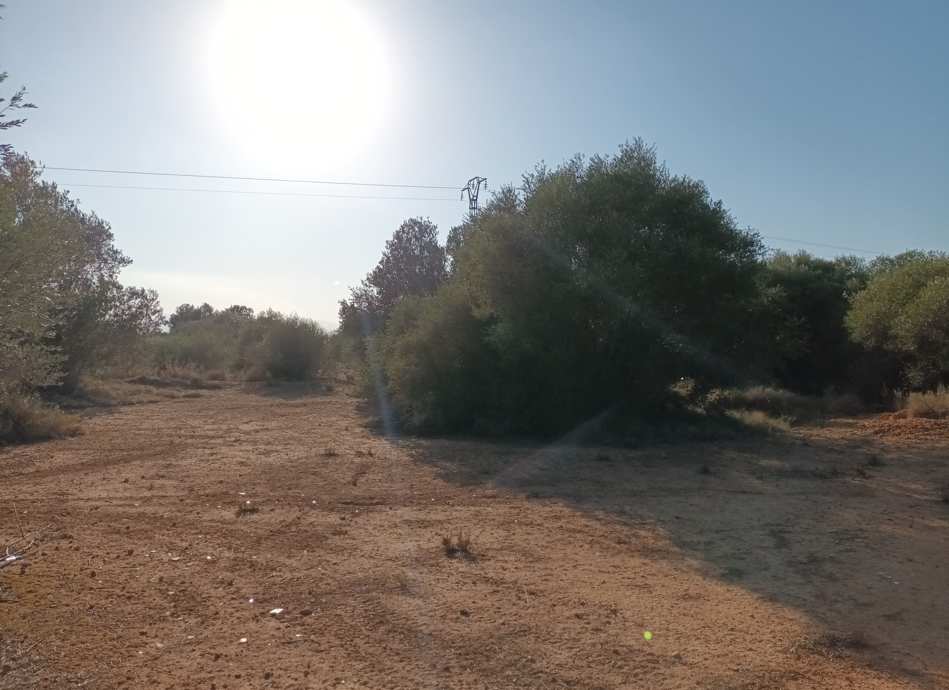 Urbano Solar en venta  en Partida Gallipont La Pobla De Vallbona Valencia