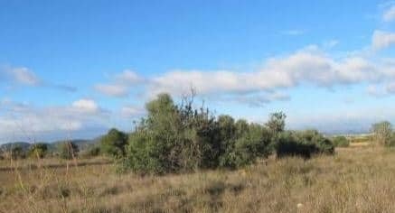 Urbano Solar en venta  en Partida Gallipont La Pobla De Vallbona Valencia