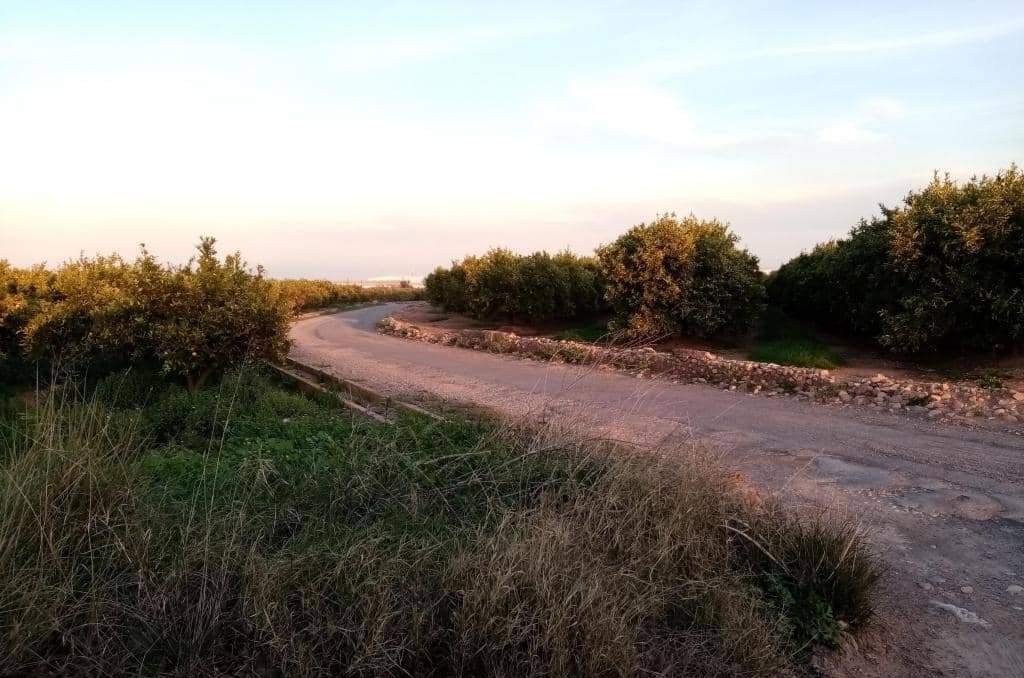 Suelo Rstico No Urbanizable en venta en Polgono 4 La Vall Duix Castelln