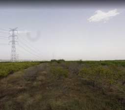 No Urbanizable Rstico en venta  en  Botet Catadau Valencia