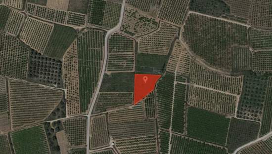 No Urbanizable Rstico en venta  en  Botet Catadau Valencia