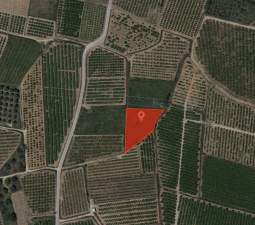 No Urbanizable Rstico en venta  en  Botet Catadau Valencia