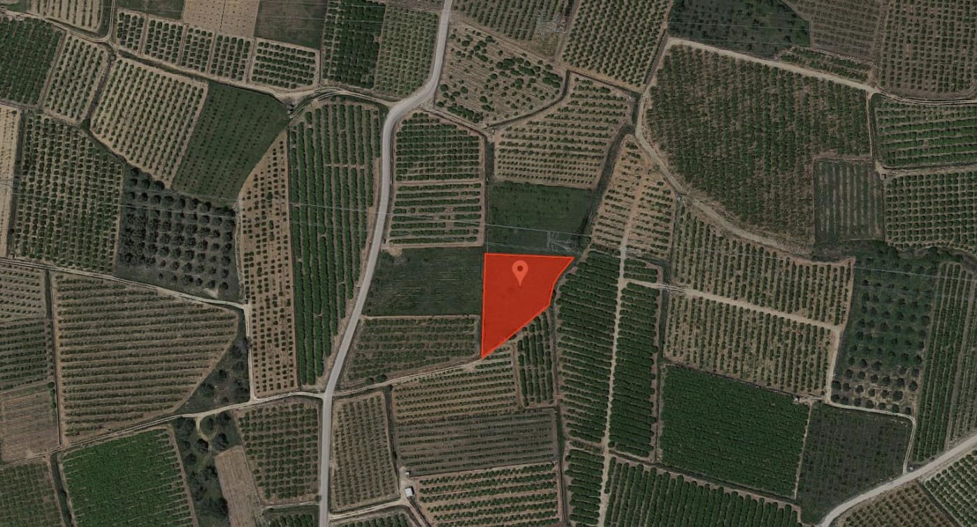 No Urbanizable Rstico en venta  en  Botet Catadau Valencia