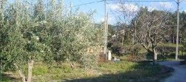No Urbanizable (Rústico) en venta  en Avenida Del Llombo, Ontinyent, Valencia
