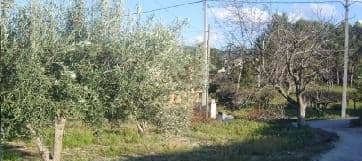 No Urbanizable (Rústico) en venta  en Avenida Del Llombo, Ontinyent, Valencia