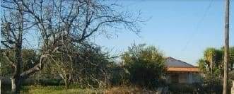 No Urbanizable (Rústico) en venta  en Avenida Del Llombo, Ontinyent, Valencia