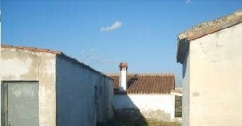 No Urbanizable (Rústico) en venta  en Avenida Del Llombo, Ontinyent, Valencia