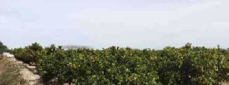 Suelo Rstico No Urbanizable en venta en Polgono Parcela 96 Sueca Valencia