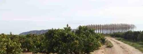 Suelo Rstico No Urbanizable en venta en Polgono Parcela 96 Sueca Valencia