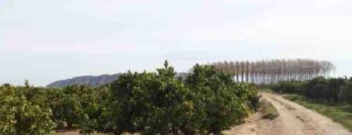 Suelo Rstico No Urbanizable en venta en Polgono Parcela 96 Sueca Valencia