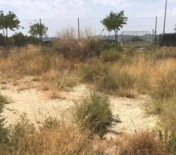 Urbano Solar en venta  en Calle Alcala De Henares Elda Alicante