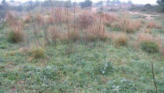 No Urbanizable Rstico en venta  en Pasaje Caadillas Chiva Valencia