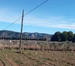 Terreno Rústico en venta en Alcalá De Chivert, Castellón