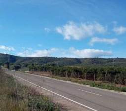 Terreno Rústico en venta en Alcalá De Chivert, Castellón