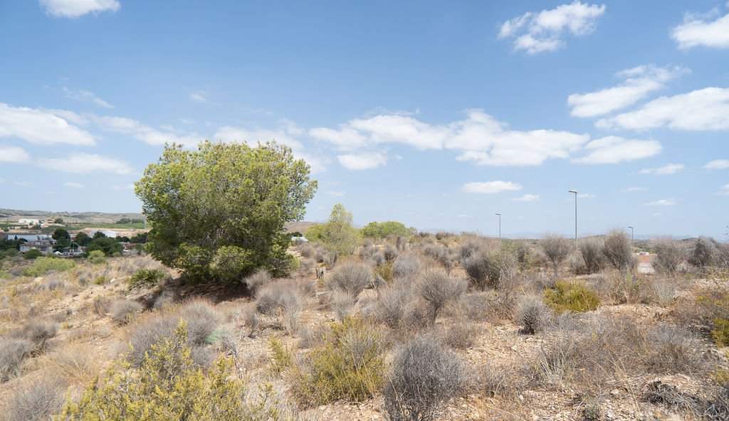 Terreno en venta en Murcia, Murcia