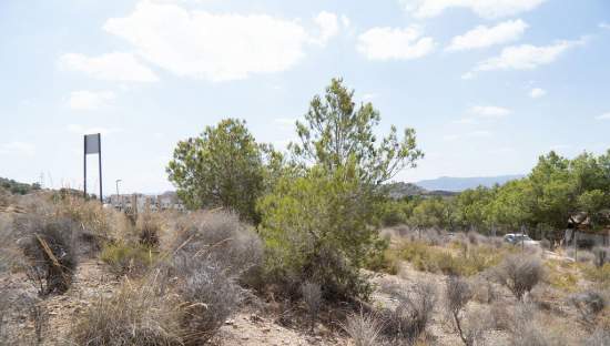 Terreno en venta en Murcia, Murcia