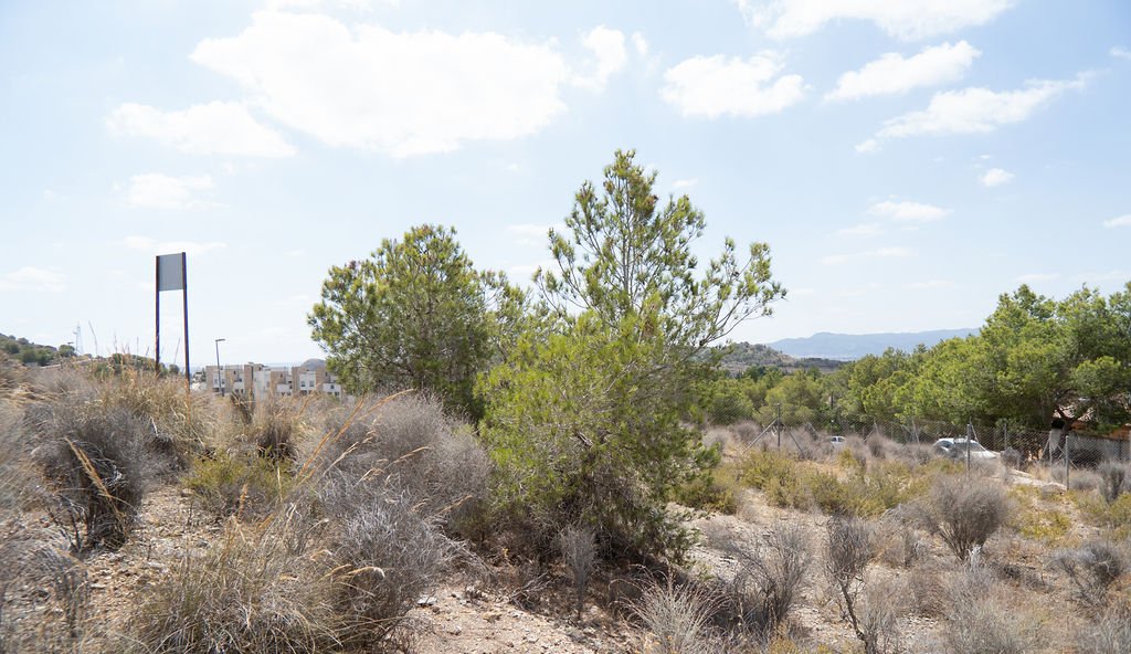 Terreno en venta en Murcia, Murcia