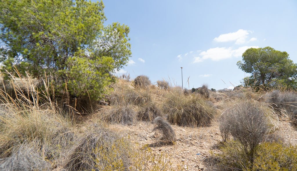 Terreno en venta en Murcia, Murcia