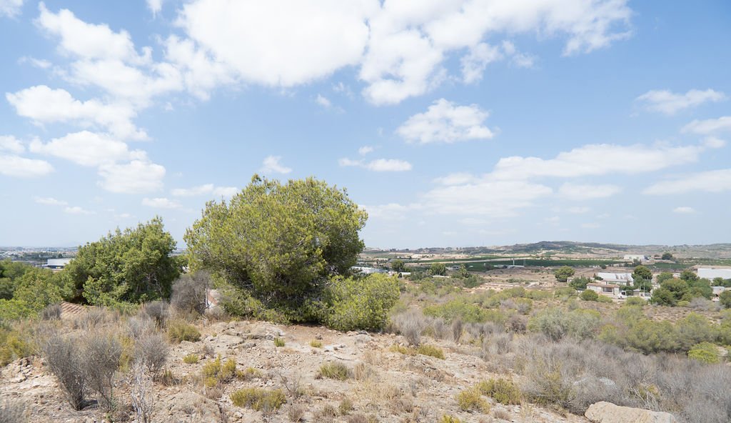 Terreno en venta en Murcia, Murcia