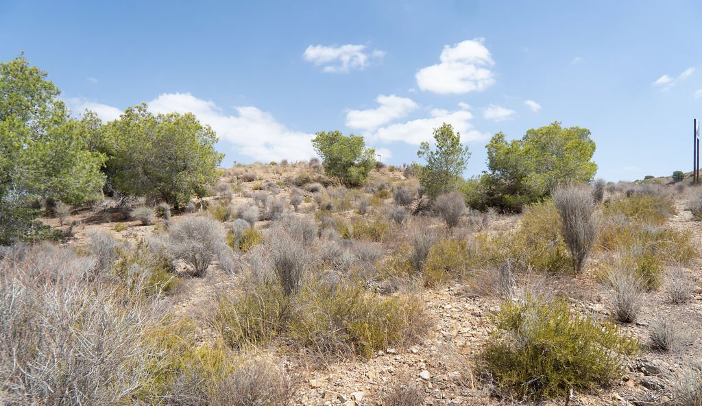 Terreno en venta en Murcia, Murcia
