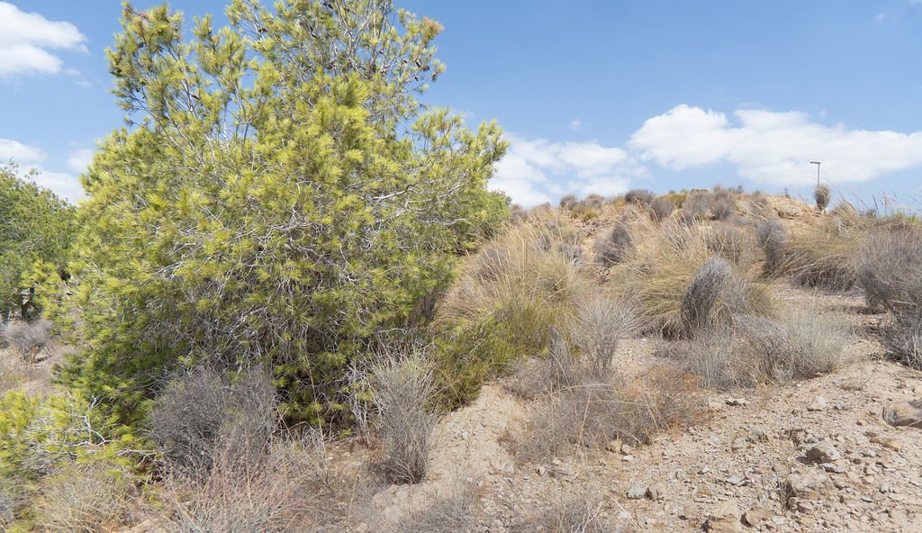 Terreno en venta en Murcia, Murcia