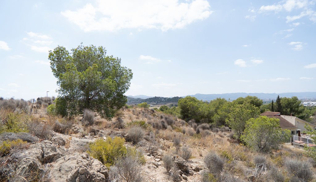Terreno en venta en Murcia, Murcia