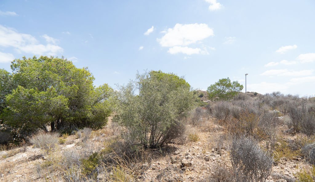 Terreno en venta en Murcia, Murcia