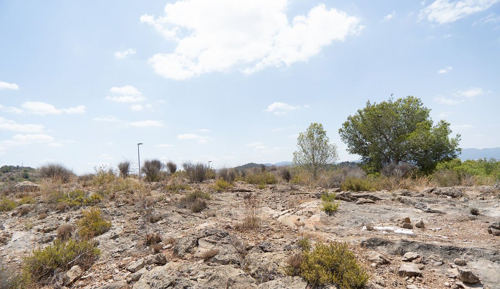 Terreno en venta en Murcia, Murcia