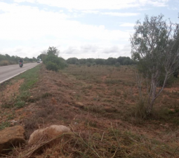 Urbano Solar en venta  en Polgono Gallipont La Pobla De Vallbona Valencia